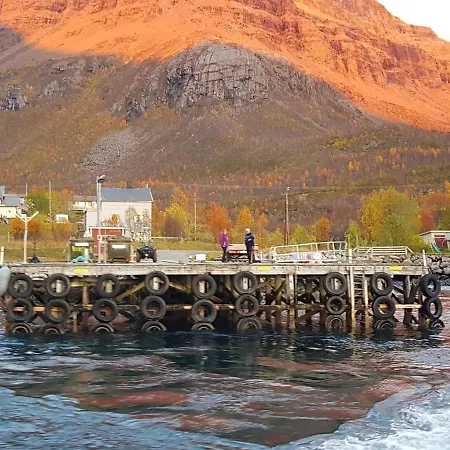 10 Person In Reinfjord-by Traum Spildra