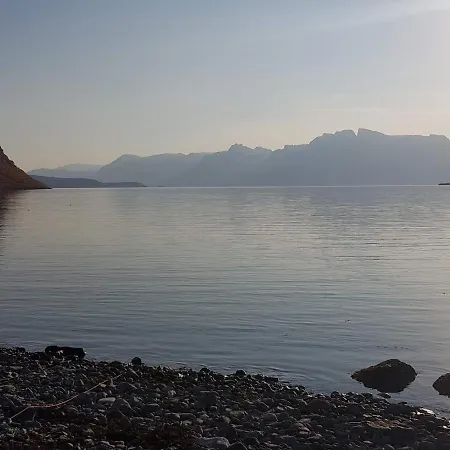 Reinfjord *