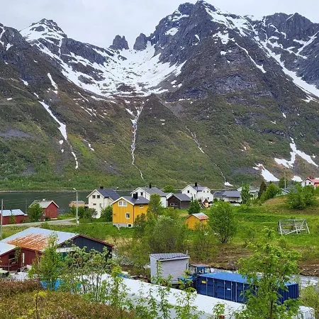 Reinfjord