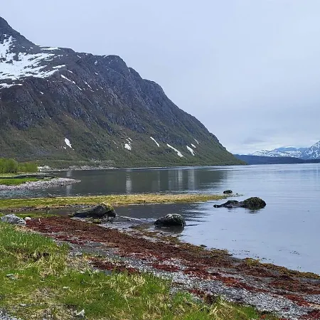 10 Person In Reinfjord-by Traum 펜션 Spildra